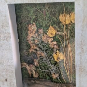 PXL_20251013_033015900.PORTRAIT.ORIGINAL Framed magnet