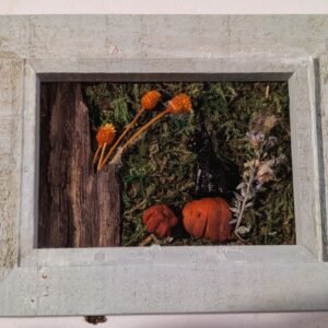 PXL_20251019_221921815.PORTRAIT.ORIGINAL~2 Halloween Cat on a Pumpkin magnet