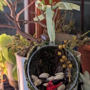 PXL_20251127_031402509.PORTRAIT Cardinal Ornament