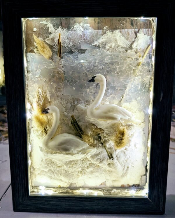 Trumpeter Swans on a Frozen Pond 8x10