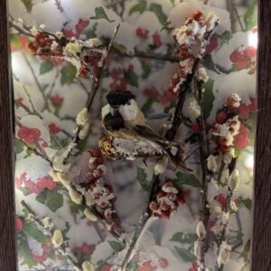 Song of the Chickadee 8x10