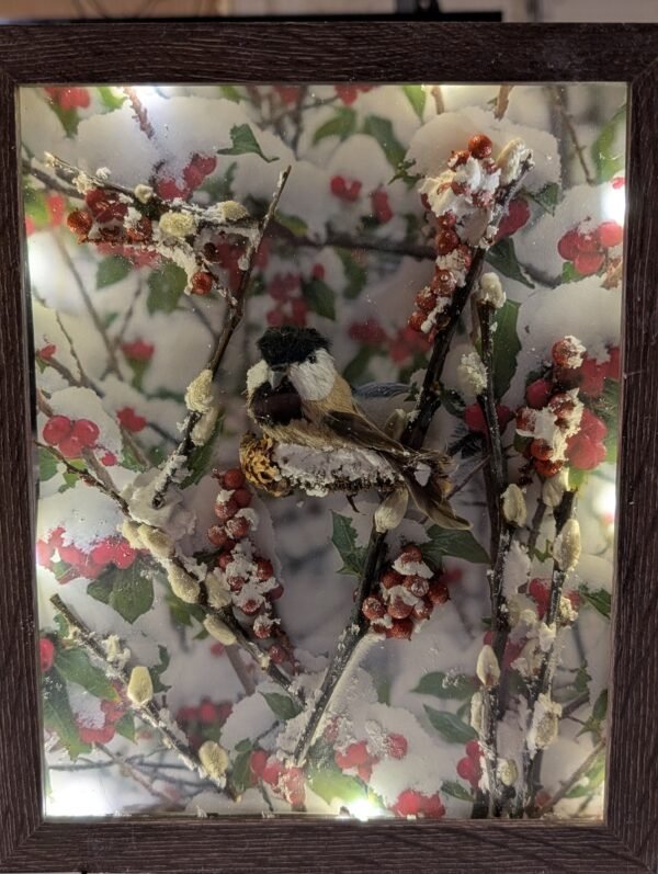 Song of the Chickadee 8x10